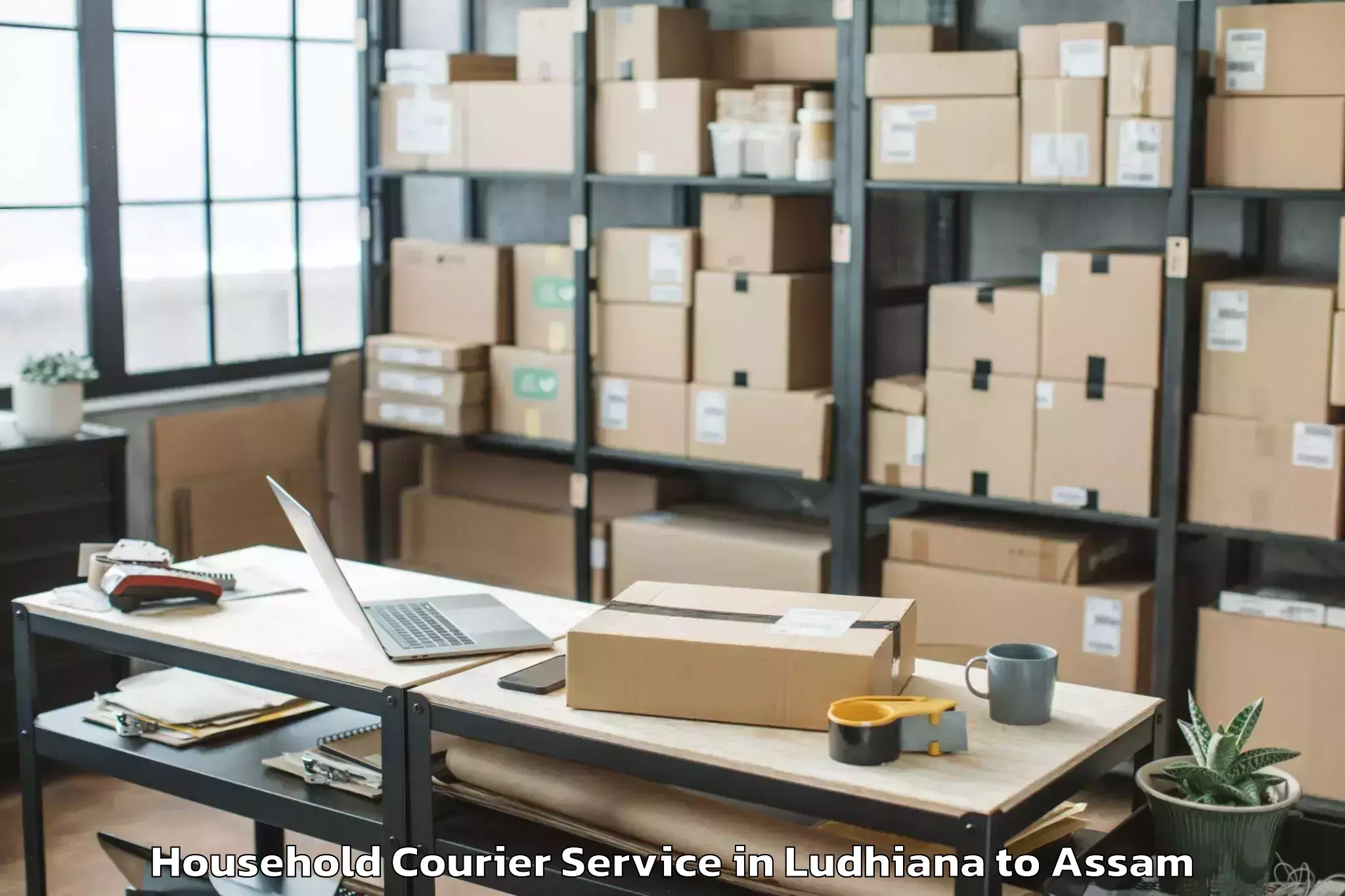 Hassle-Free Ludhiana to North Guwahati Pt Household Courier